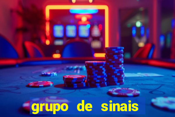 grupo de sinais fortune rabbit